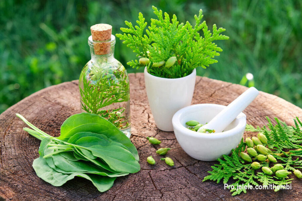 #Herbalist